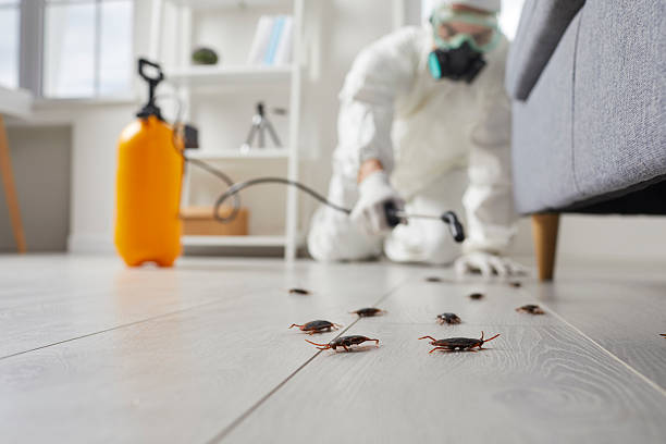 Commercial Kitchen Cockroach Control in Paola